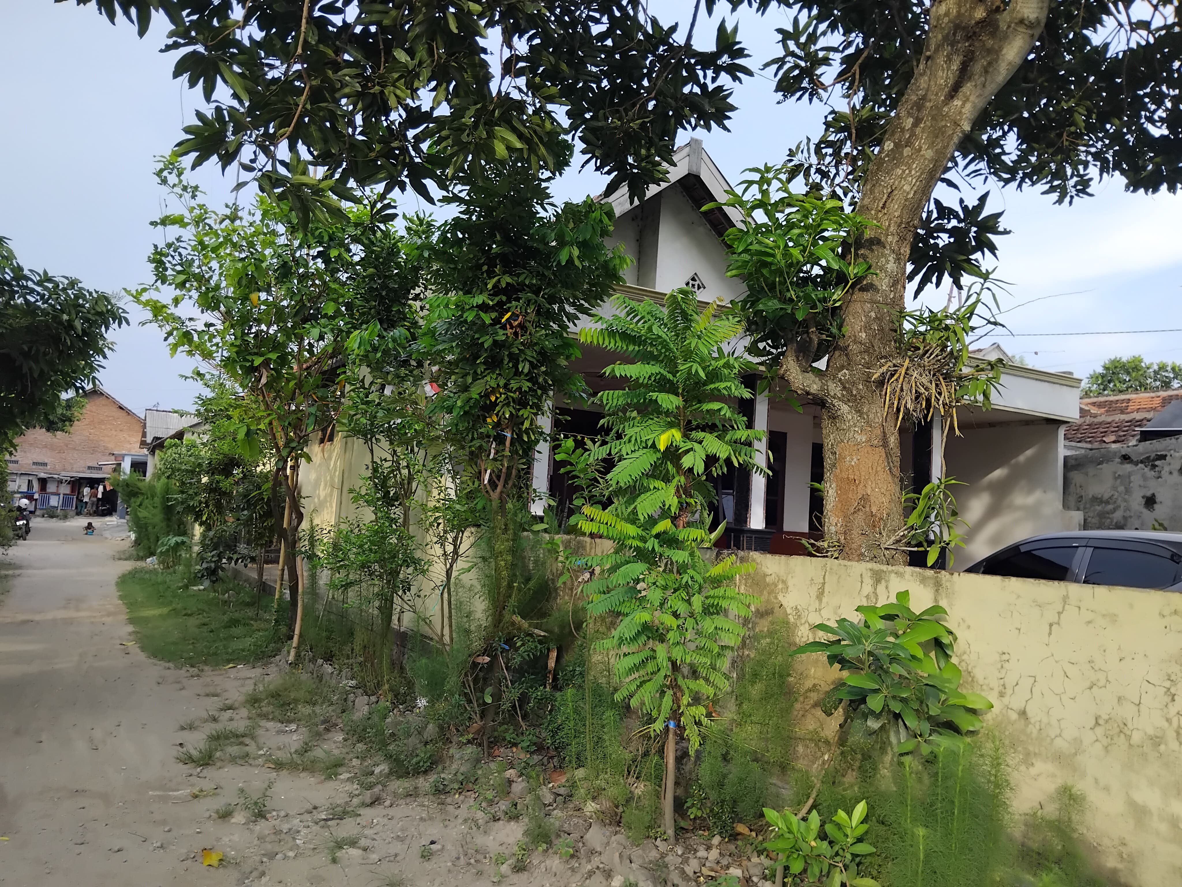 Rumah Asri di Banjardowo Jombang