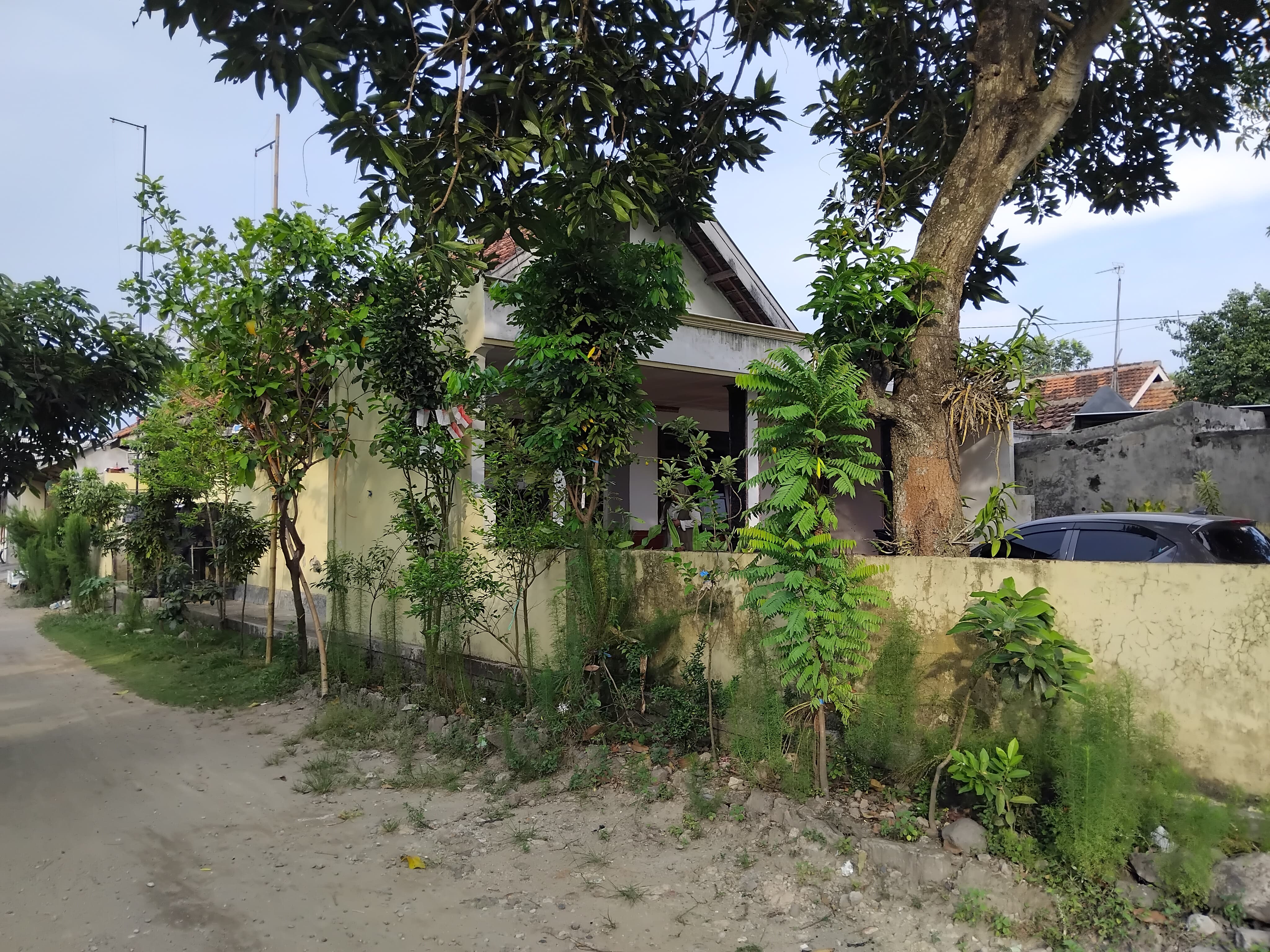 Rumah Asri di Banjardowo Jombang