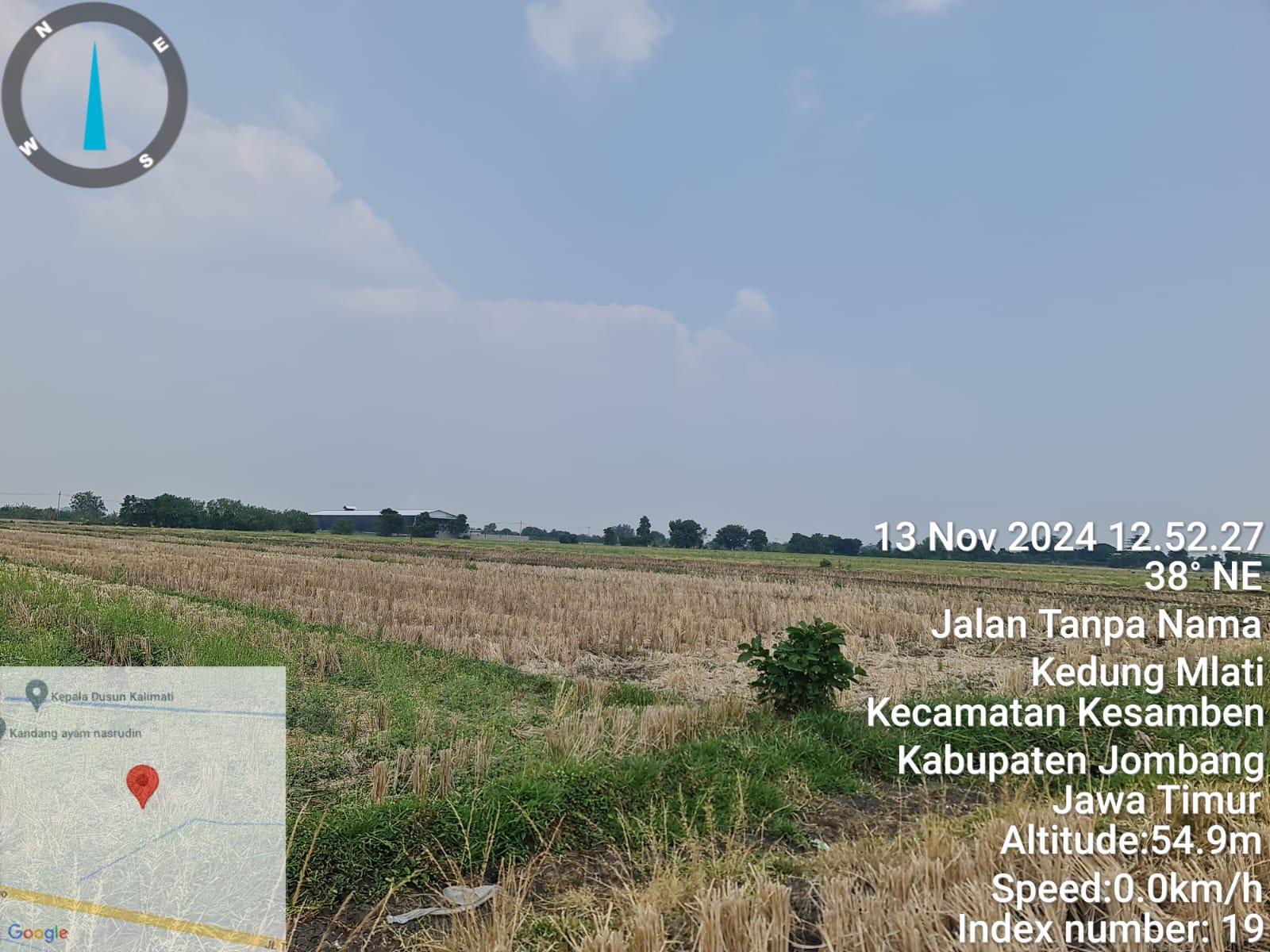 Sawah Luas di Kedungmlati Kesamben Siap Produksi