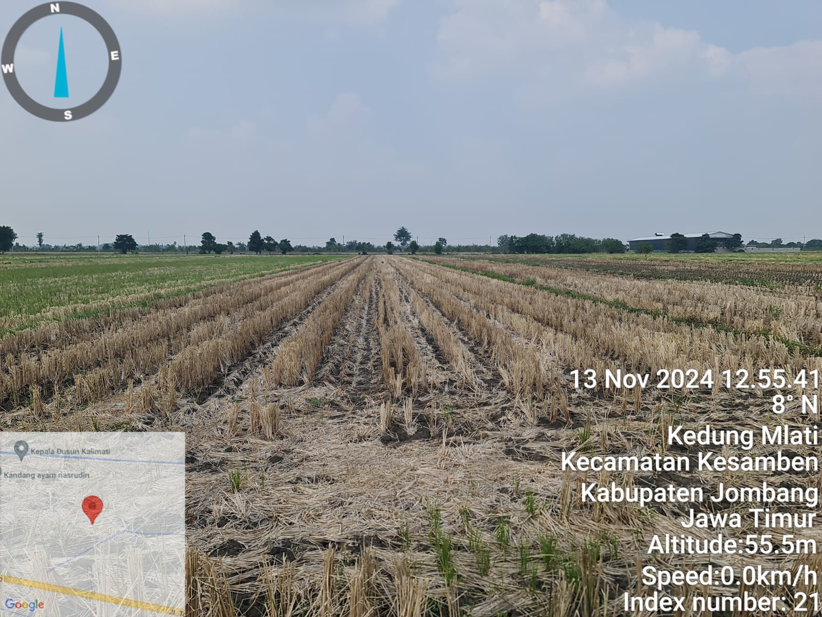 Sawah Luas di Kedungmlati Kesamben Siap Produksi