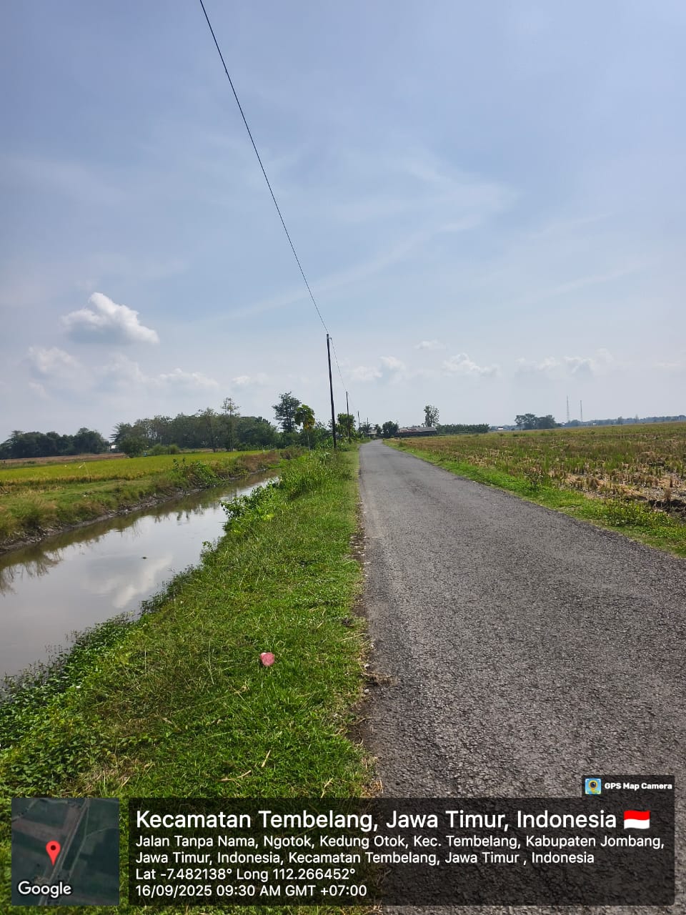 Sawah Siap Produksi di Kedungotok Tembelang