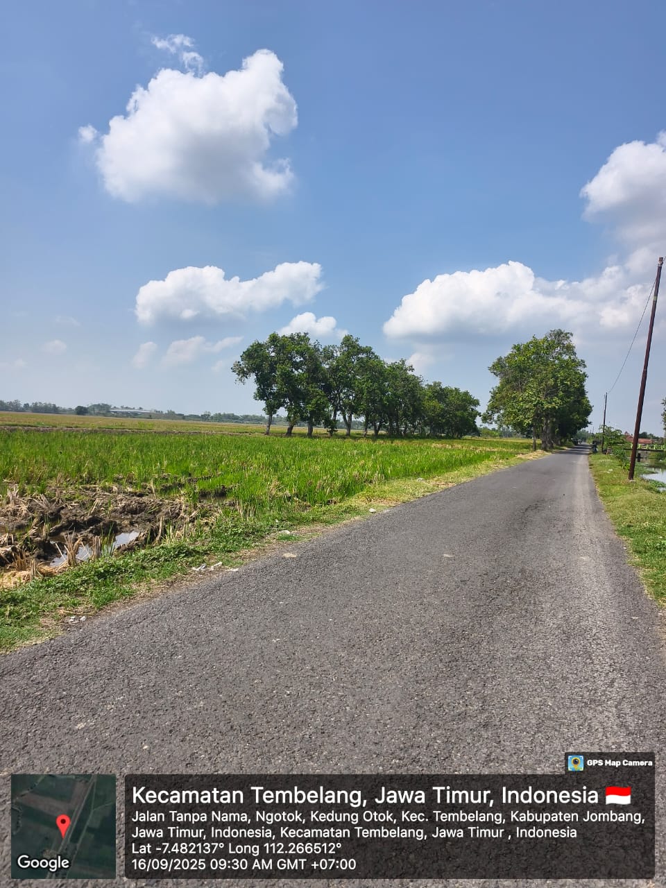 Sawah Siap Produksi di Kedungotok Tembelang