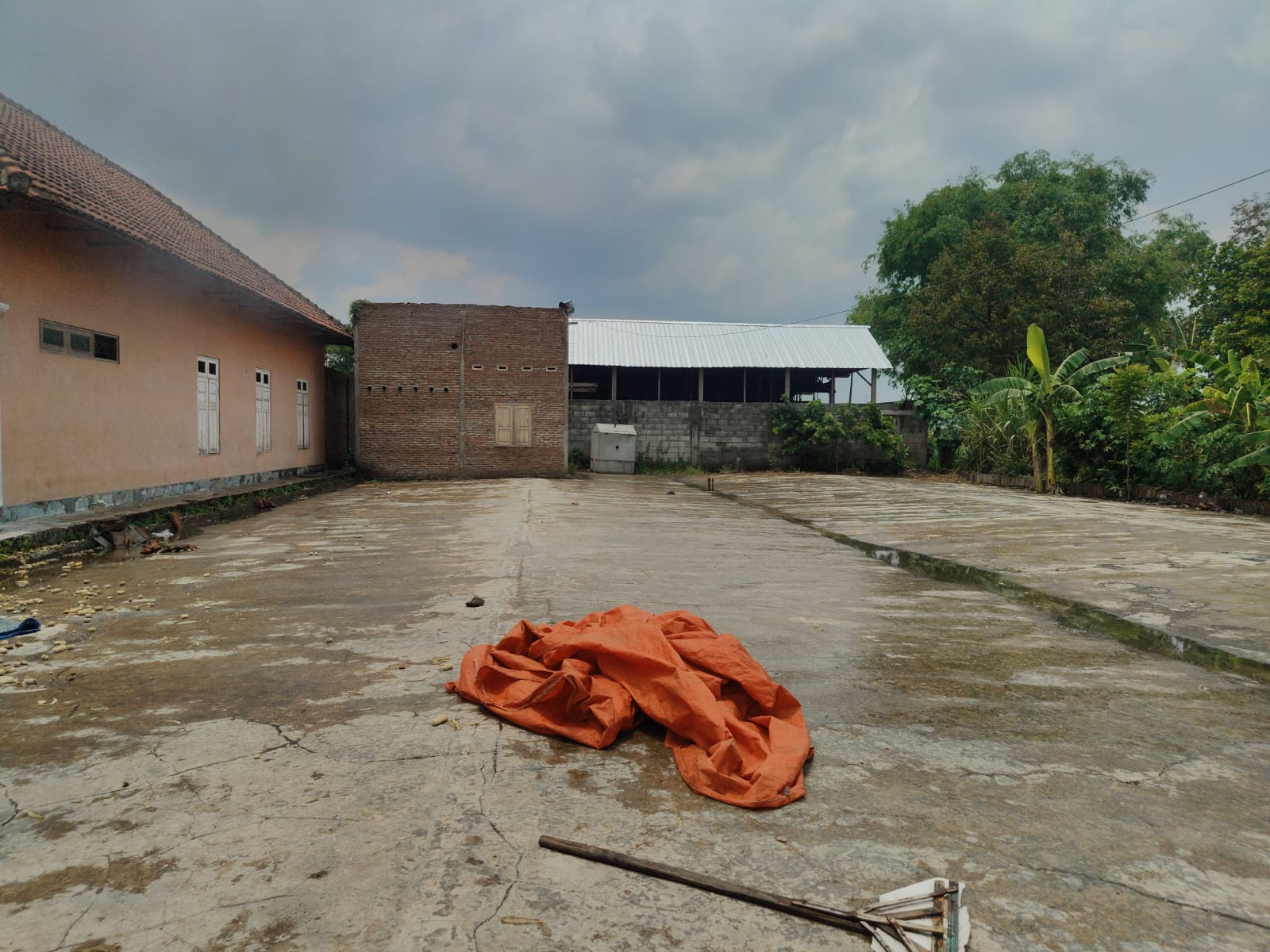 Pekarangan Luas di Sawiji, Jogoroto