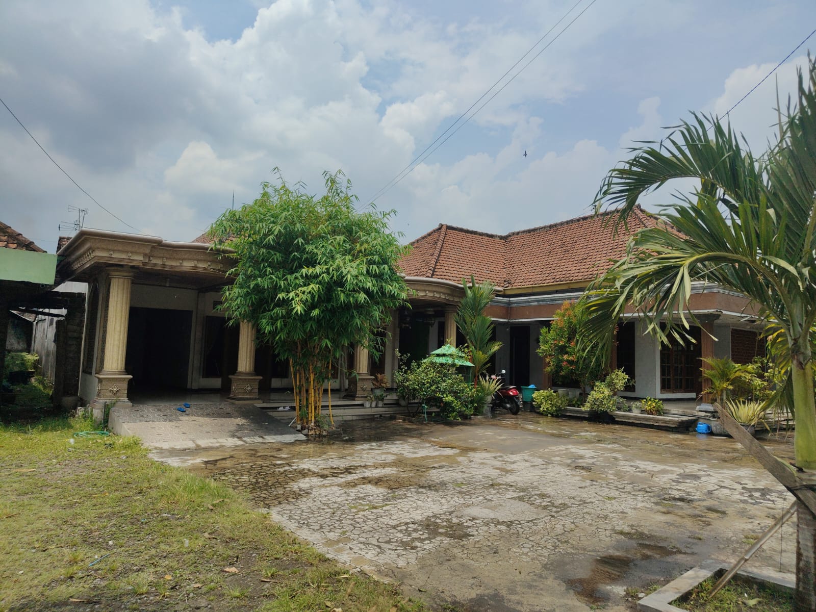 Rumah Asri dan Luas di Sawiji, Jogoroto