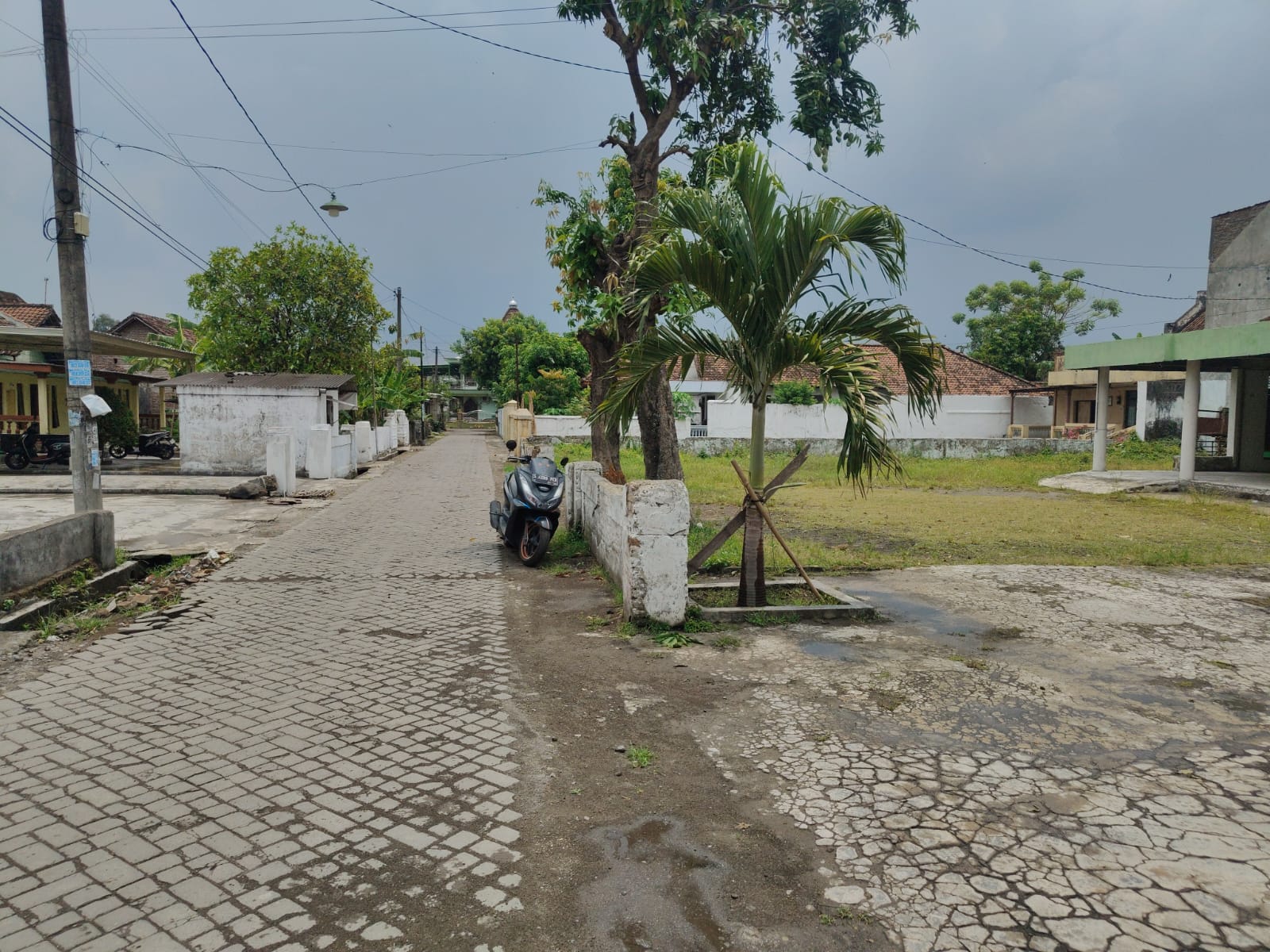 Rumah Asri dan Luas di Sawiji, Jogoroto
