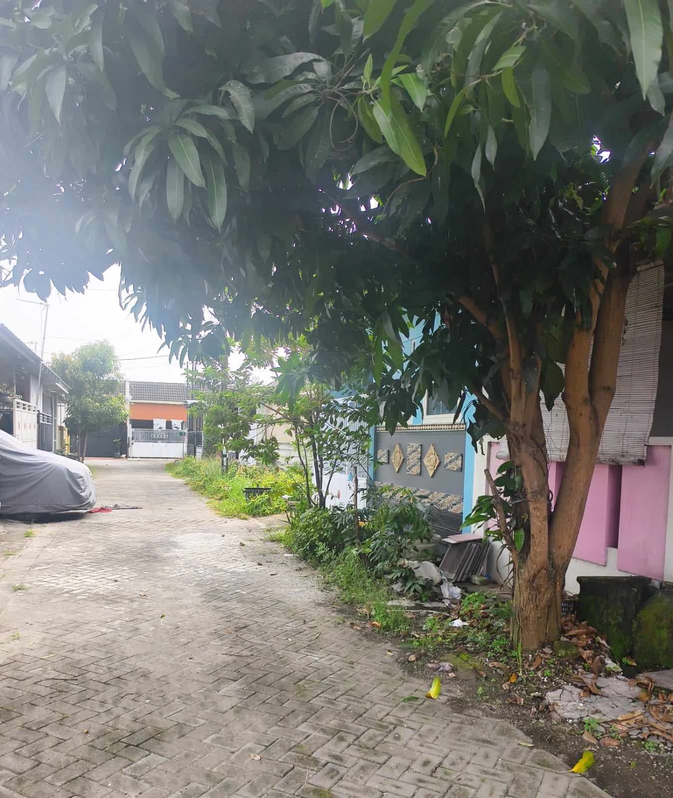 Rumah Asri di Pandanwangi Diwek Jombang
