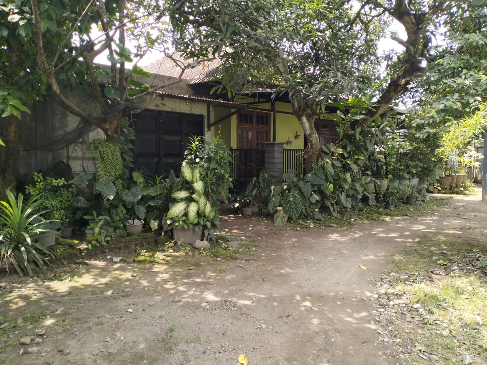 Rumah Tinggal Asri di Sengon Jombang