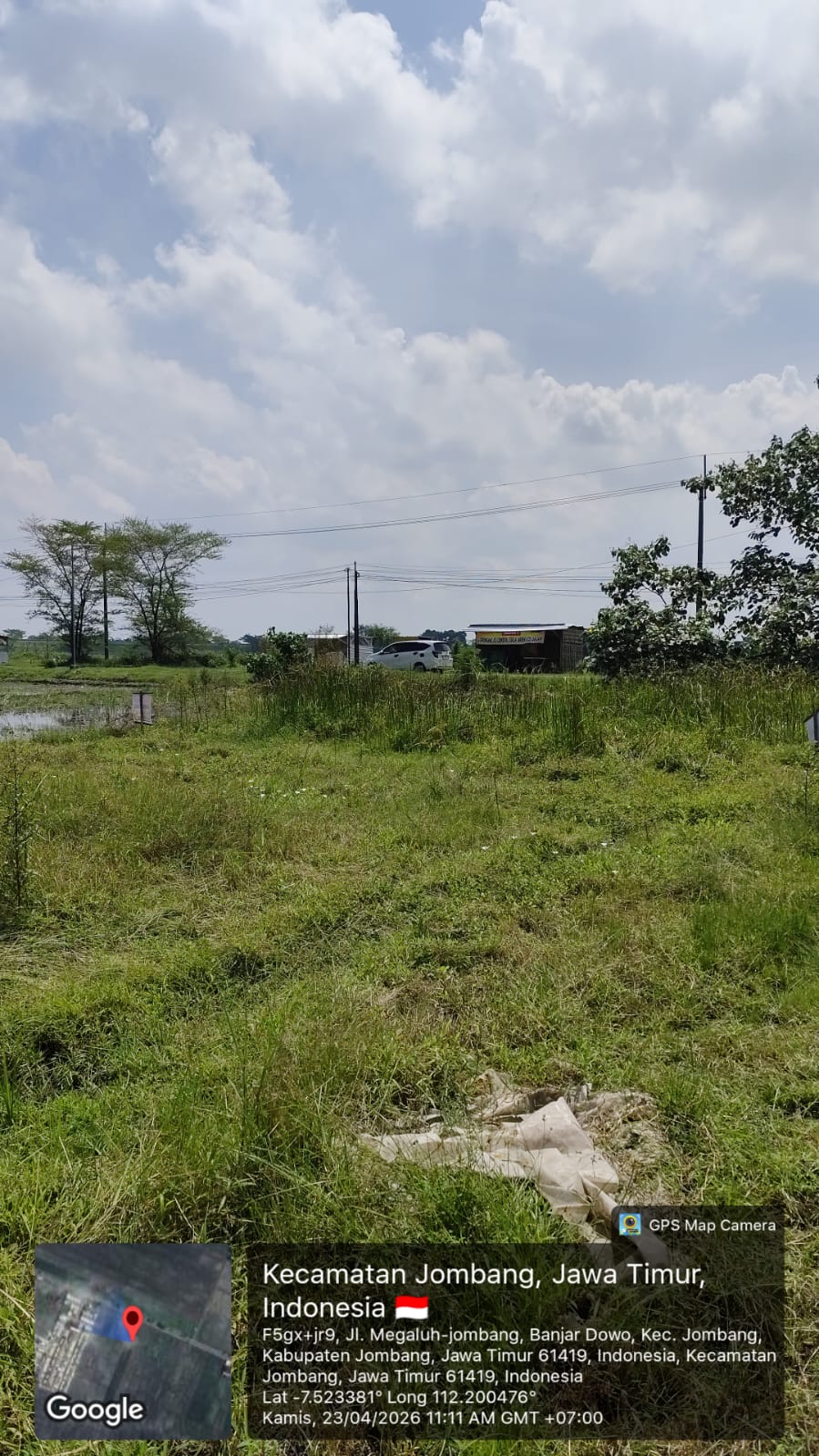 Sawah Luas Siap Produksi di Banjardowo