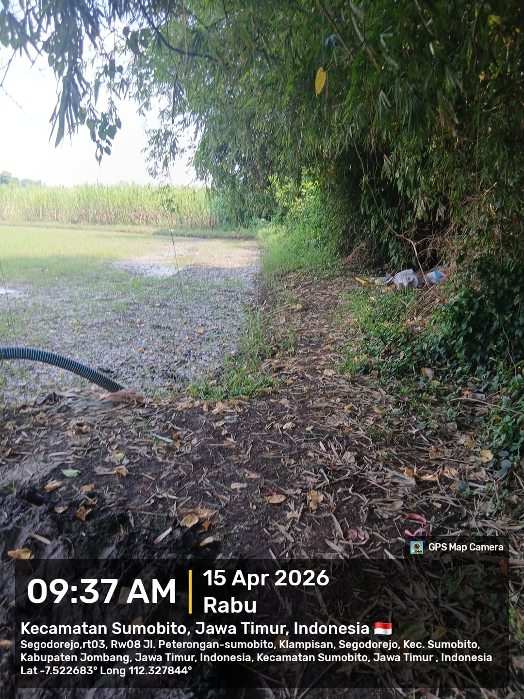 Sawah Luas Siap Produksi di Sumobito